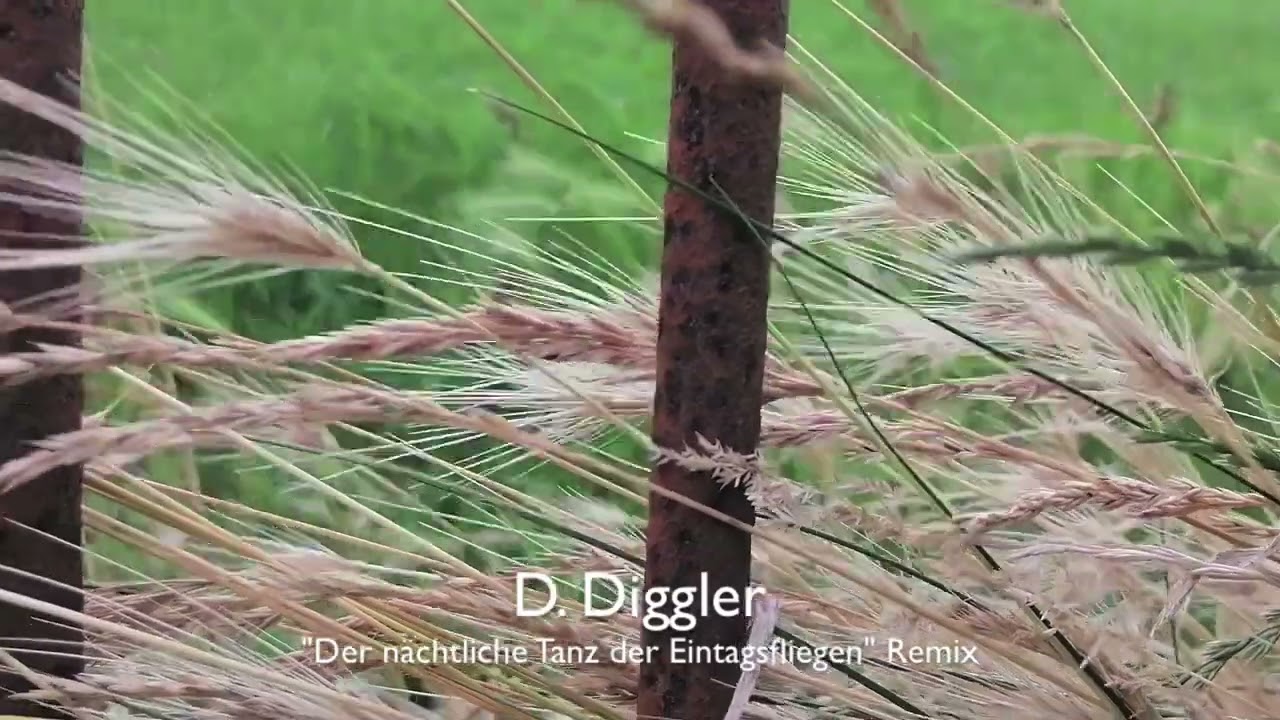 Danjel Esperanza - Der Nächtliche Tanz der Eintagsfliegen || D.Diggler Remix (Traum V299)