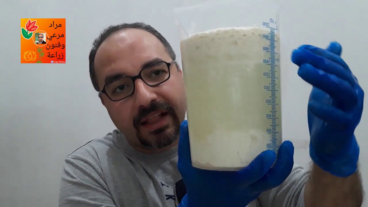 سماد لاكوبسلس او LAB او لاب أقوى سماد طبيعى منزلى لنباتات حلقة 322