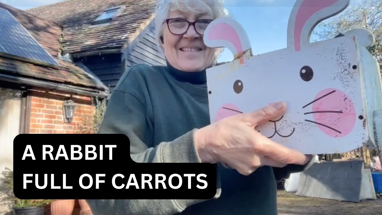 GAL This is One Happy Bunny