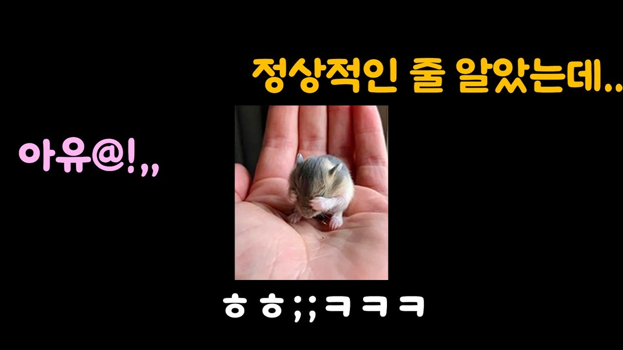 2026.02.04 수자후 노가리 클립