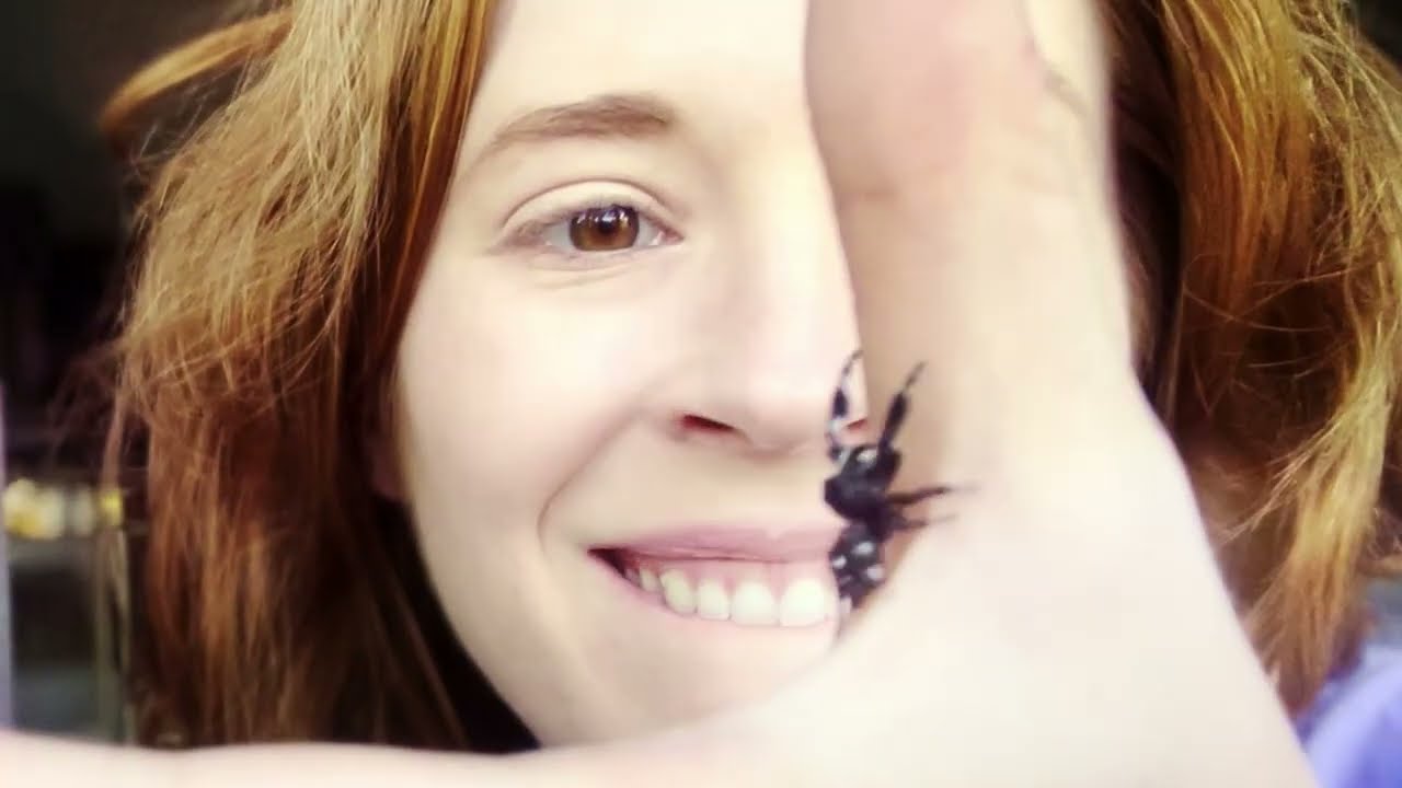 TE/MO - LET THE SPIDERS GO (Official Music Video)