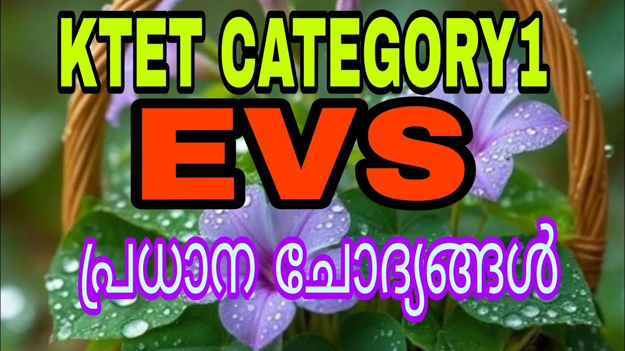 KTET CATEGORY1 EVS Important Questions 