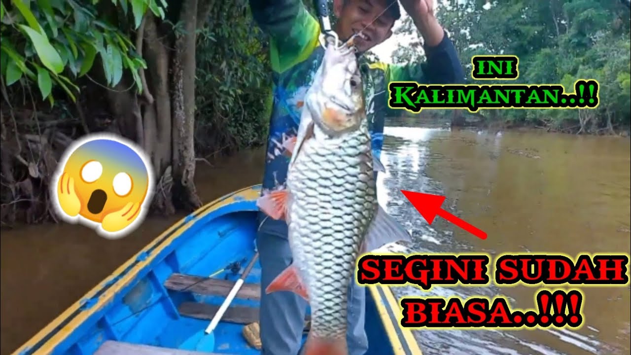KALIMANTAN PUNYA CERITA || SPOT CASTING MASIH MELIMPAH...!!
