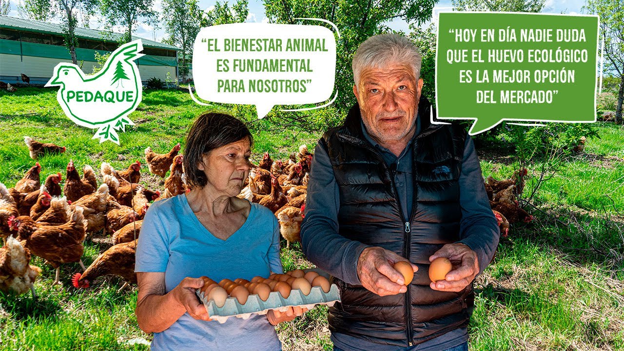 Espacio Orgánico visita la granja de huevos ecológicos Pedaque.