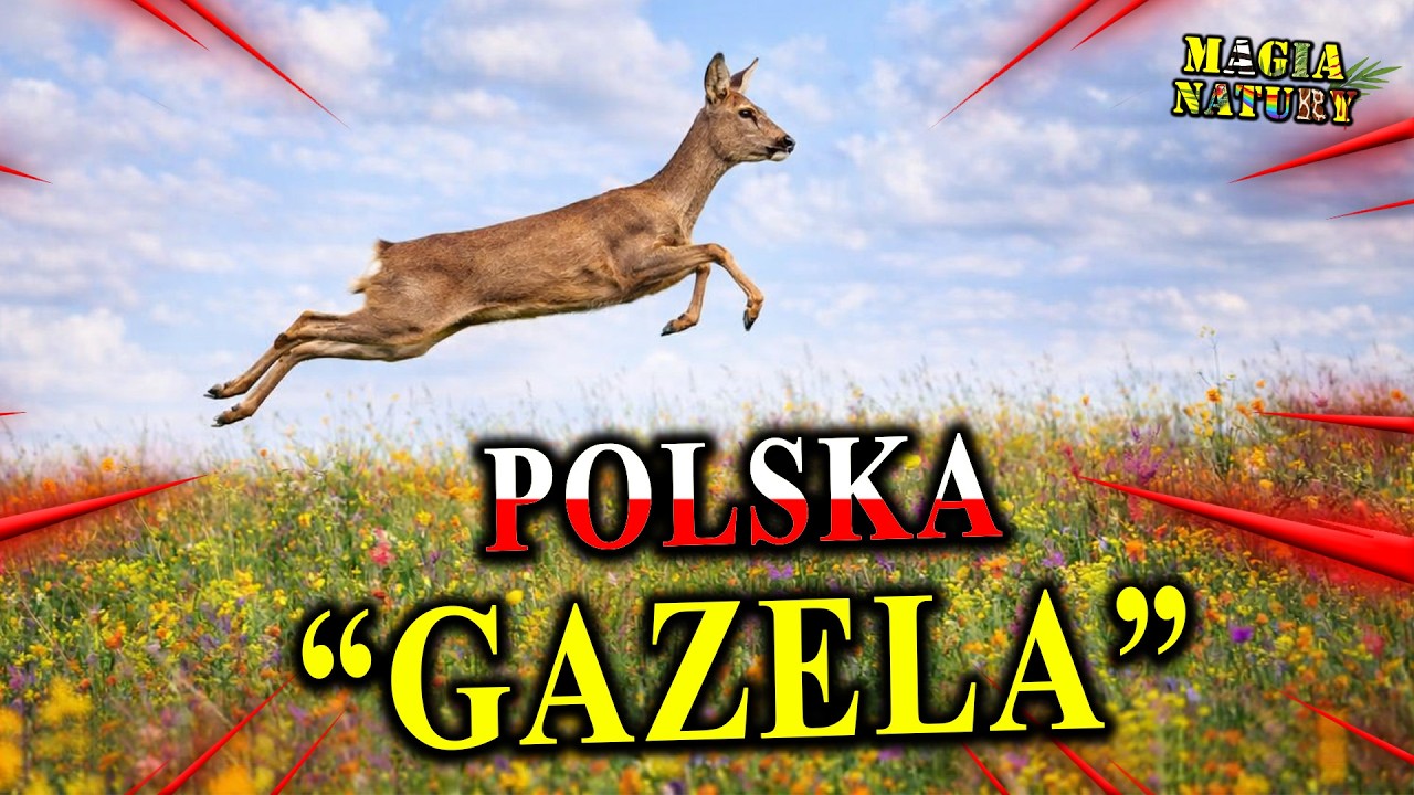 Turbo SARNA -  Kluczowy Element Polskiej Przyrody