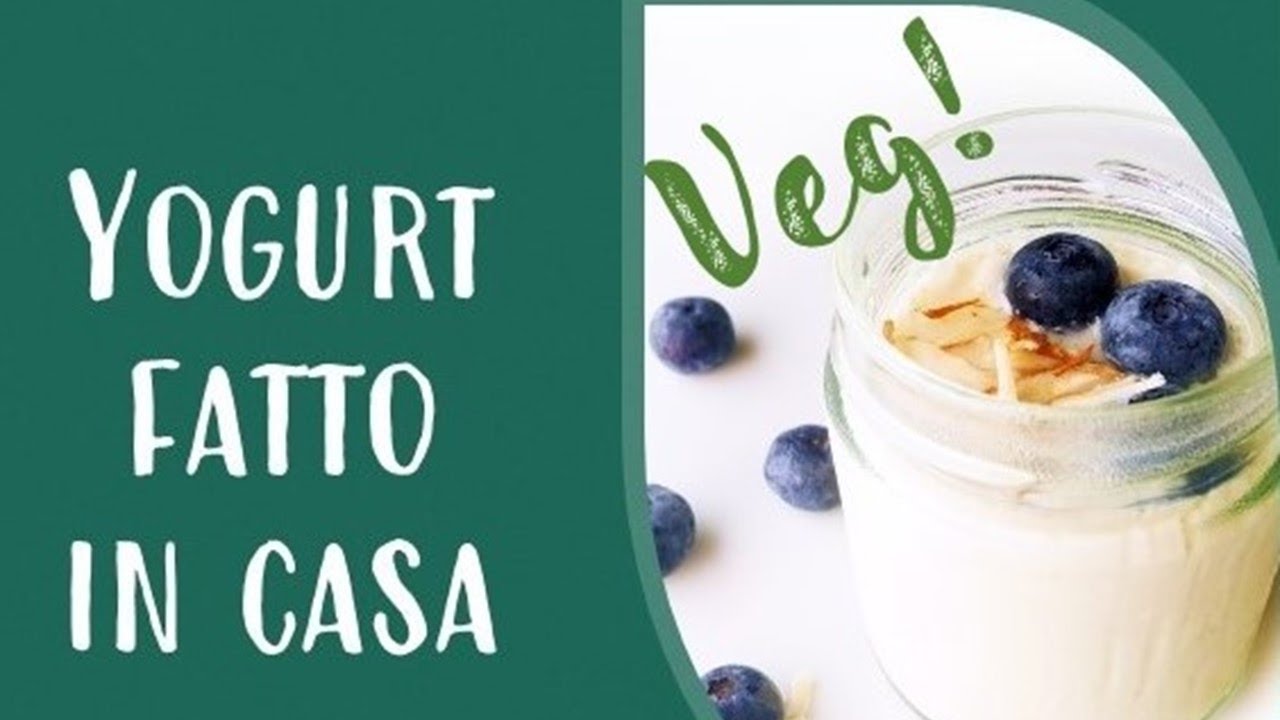 Yogurt veg fatto in casa