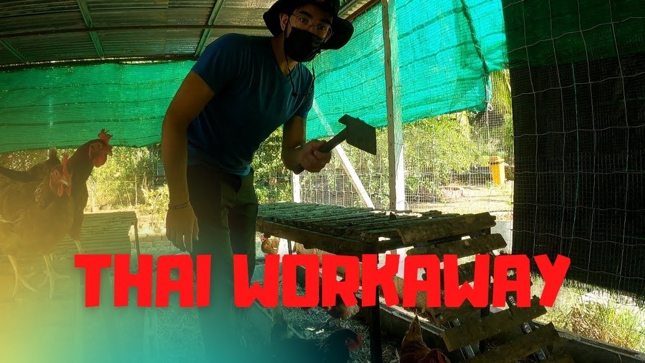 Should you use Workaway in Thailand 2021-22? | Tantai Farmstay ᴛʜ