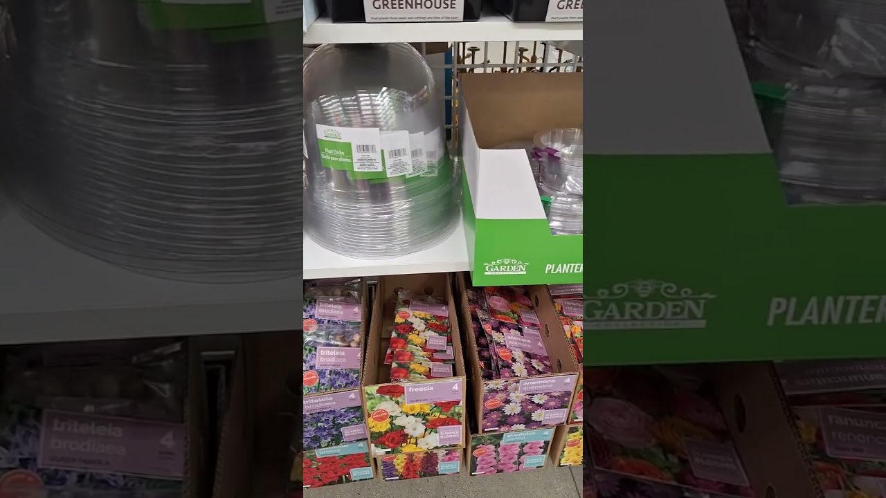 Gardening from Dollar Tree