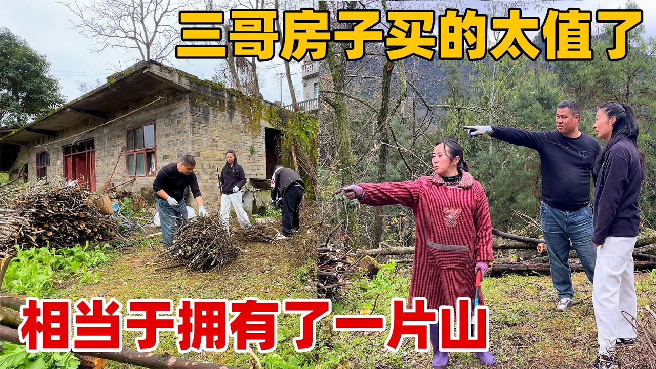 三哥花四万多就拿下的养老小院，包括房子和整片山简直太值了！除了交通不便之外风景真是没话说