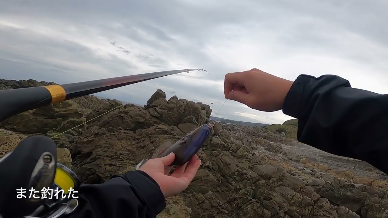 魚釣りに行ったよin種子島　20260118
