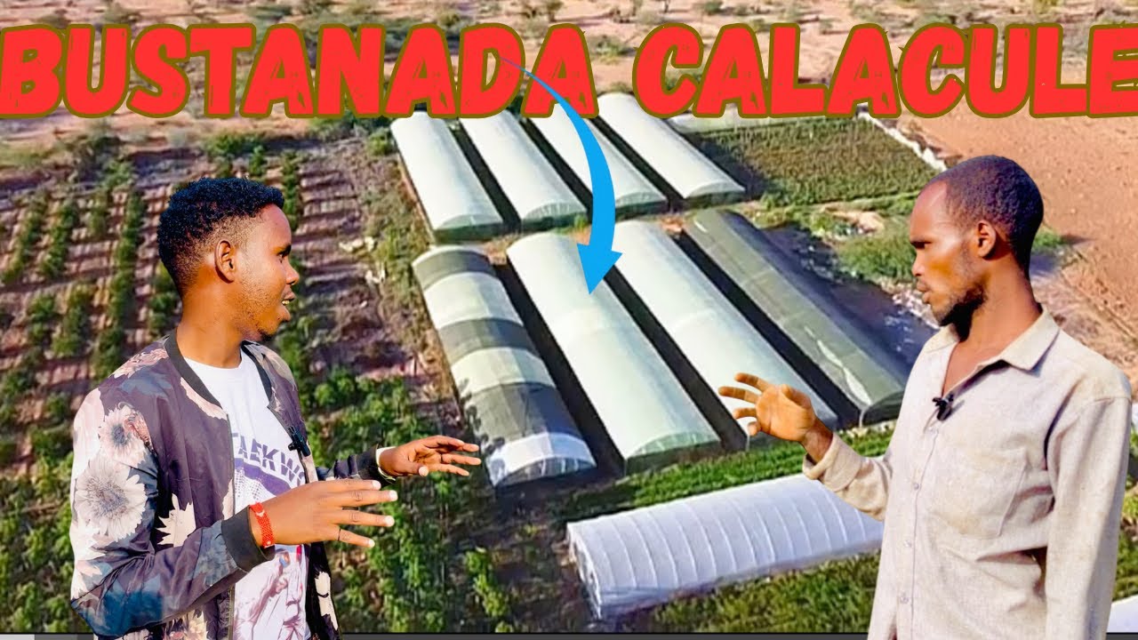 SAFARKEYGII HALO ILAA BEERAHA CALAACULE ||