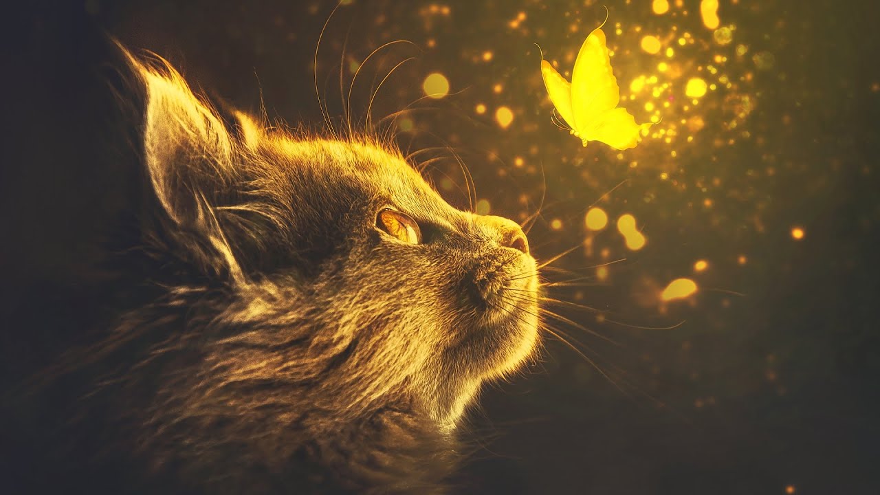 Fantasy Glow Light Effect Corel Draw Manipulation Tutorial
