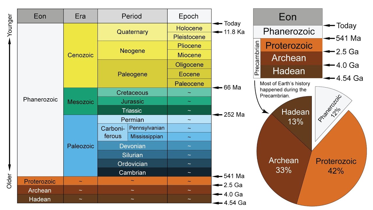 2026 A/L Biology | Revision |ජීවීන්ගේ පරිණාමය හා විවිධත්වය ආරම්භය (Part 02)