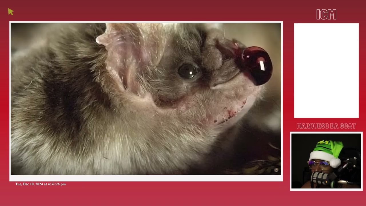 MDG Reacts To Madly Mesozoic - Could Vampire Bats Survive the Mesozoic?