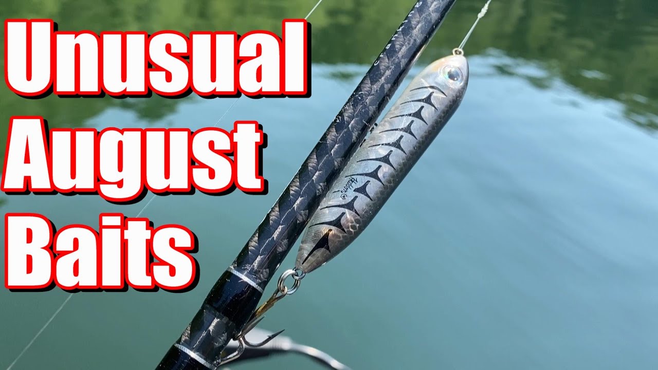 My 3 Unusual August Baits
