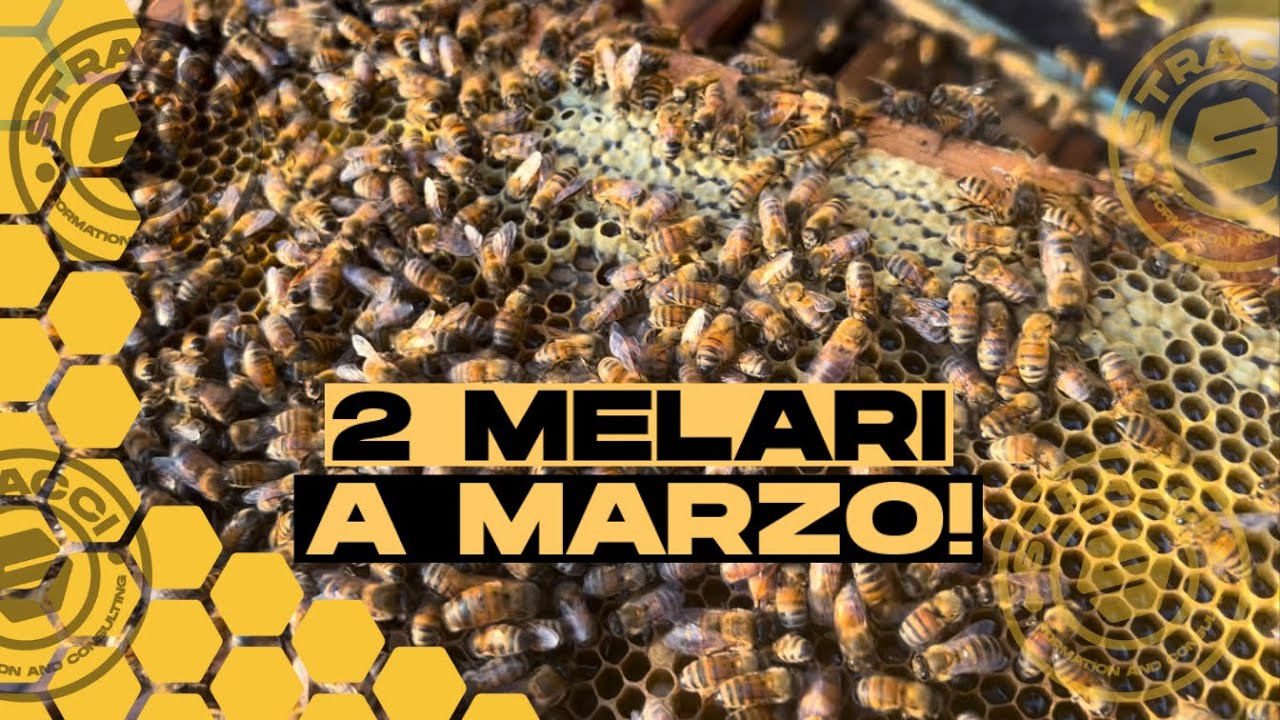 Come Garantirti la Produttività!