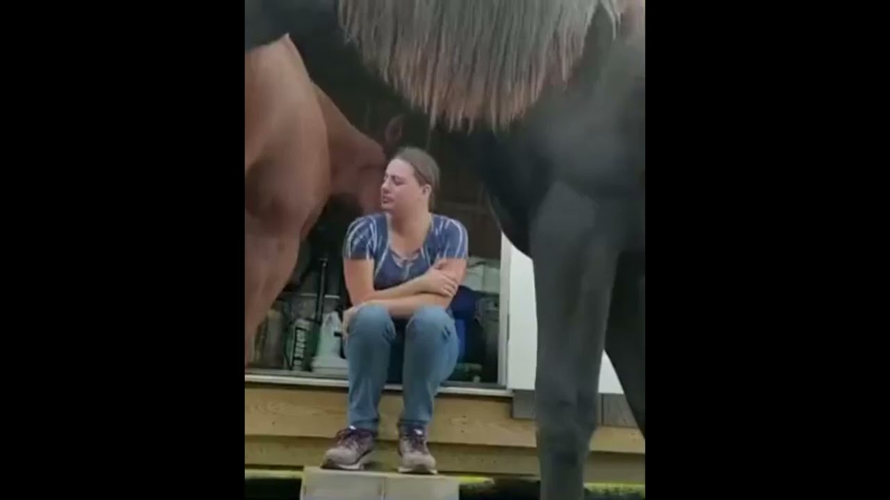 Horse embraces woman after seeing her cry, most touching horse-love video of 2022 #shorts