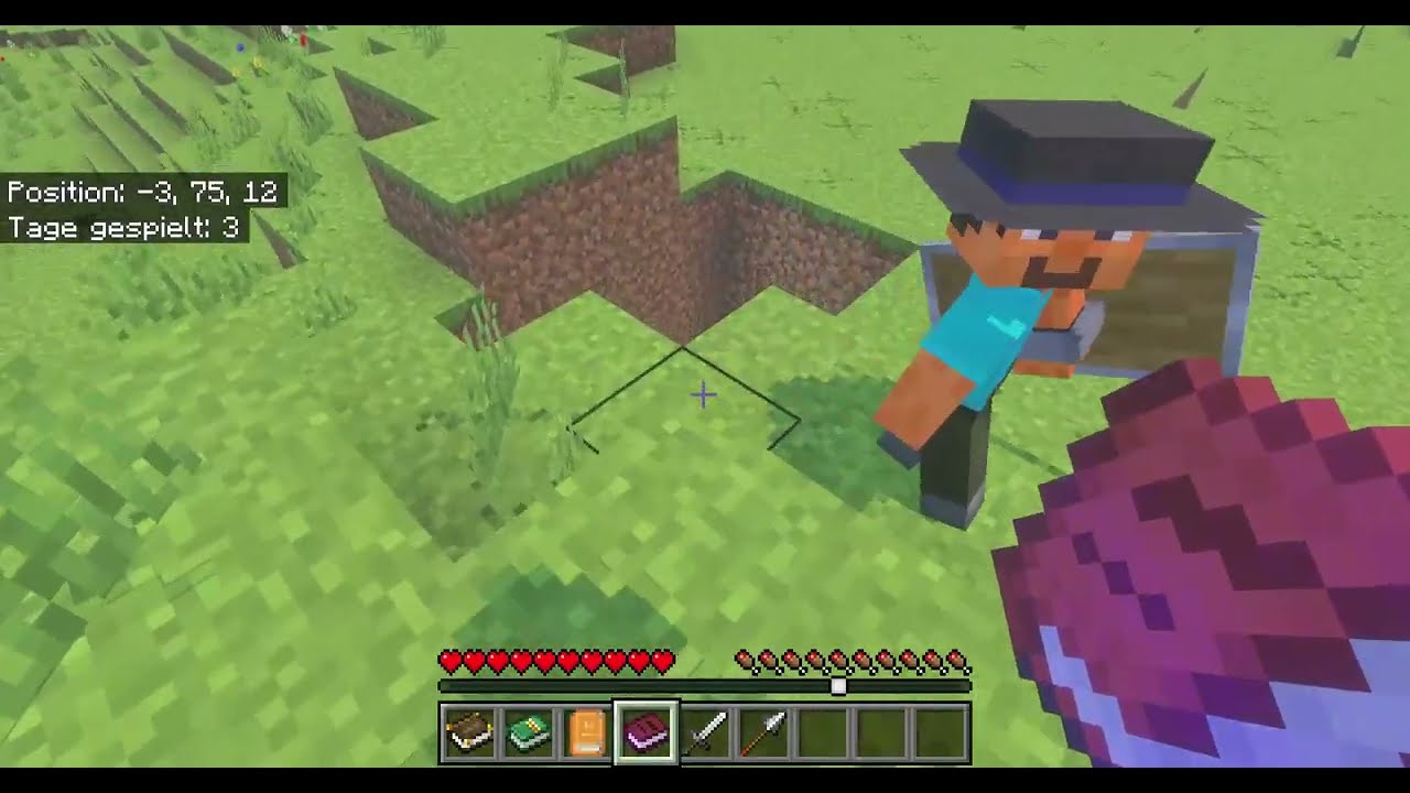 Mal was ganz neues #nixcos #minecraft #gaming #cool