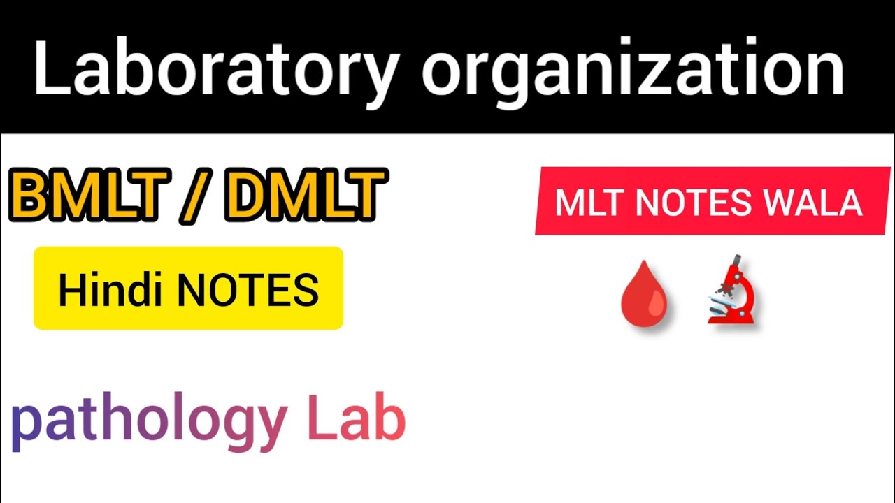 Laboratory organization || lab kaise organiz karte h || BMLT /DMLT/ MLT Hindi notes ||