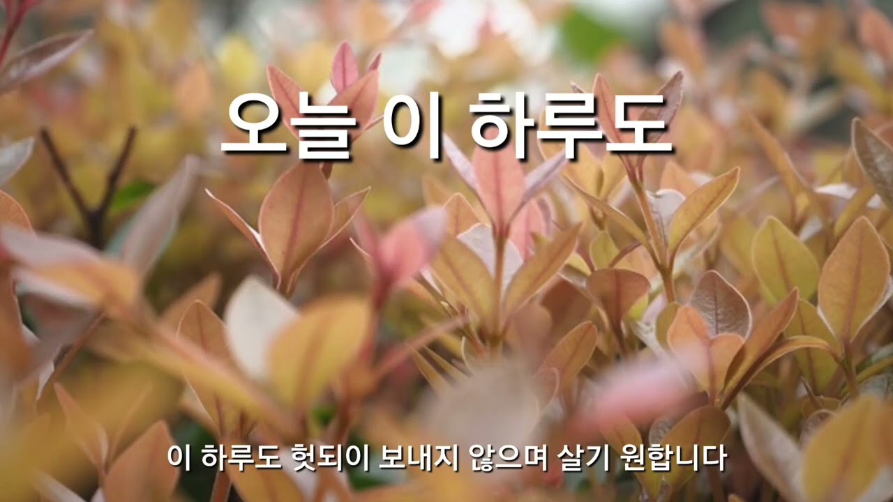오늘 이 하루도 #by ZINO PARK #live #1시간연속듣기