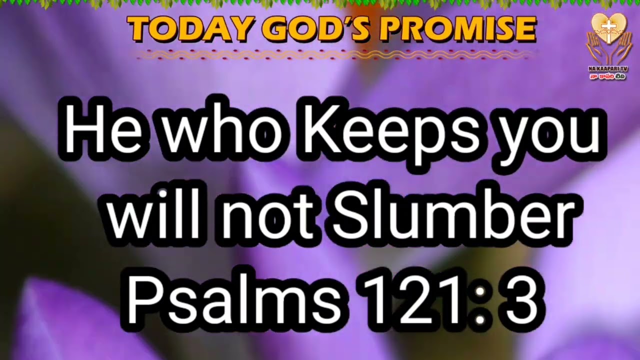 Today God's Promise | Bible Verse in English | Nakaapari tv 