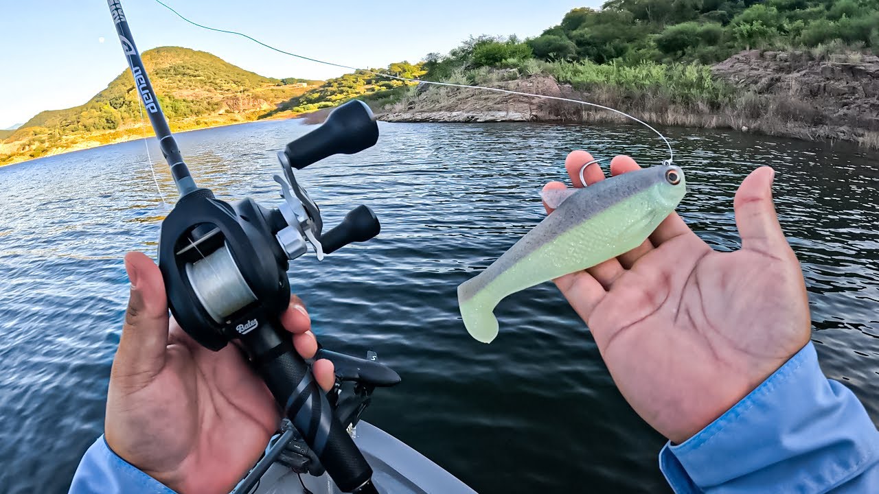 Pesca con SWIMBAIT GIGANTES para pescar lobinas ENORMES 