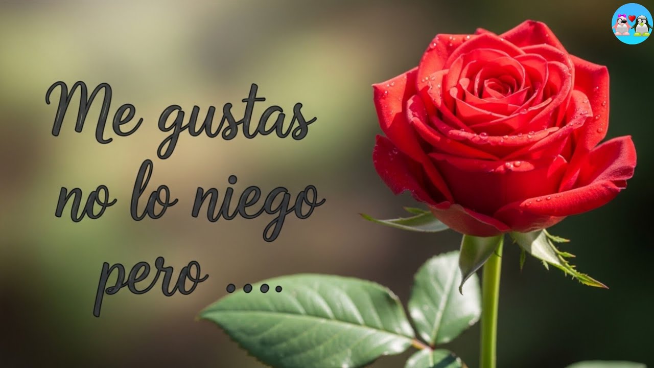 Pero hay algo que debes SABER y es que el mundo es grande y ....
