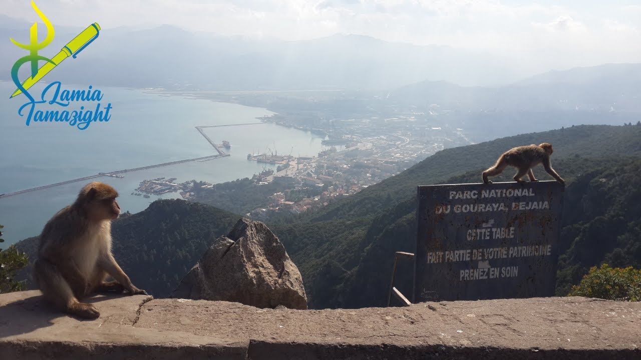 Une journée en famille à Béjaïa