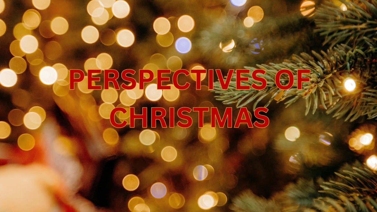 Perspectives of Christmas Training | Steve and Linda