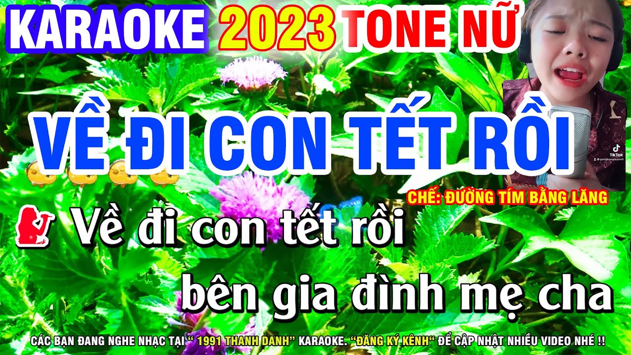 Karaoke Về Đi Con Tết Rồi Tone Nữ (Am) | Nhạc Chế Đường Tím Bằng Lăng | Karaoke Thanh Danh
