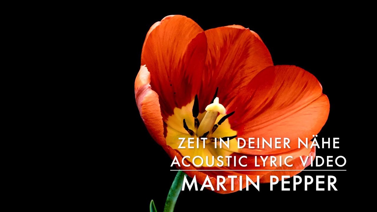 Martin Pepper | Zeit in deiner Nähe acoustic | Lyric Video |