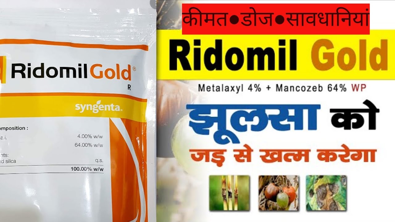 Redomil Gold fungicide uses in hindi