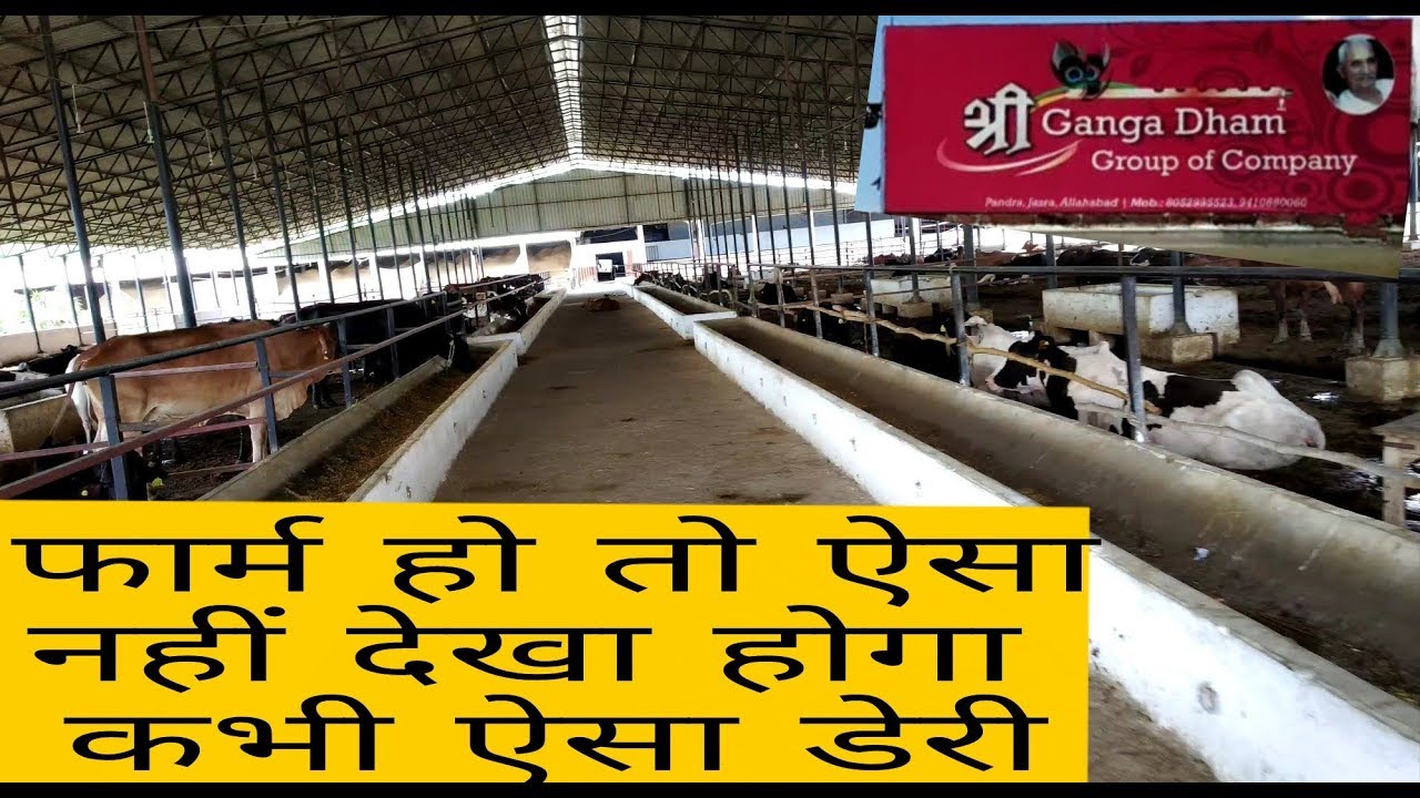High-Tech Dairy~~Shiri Ganga Dham Dairy ALLAHABAD UP