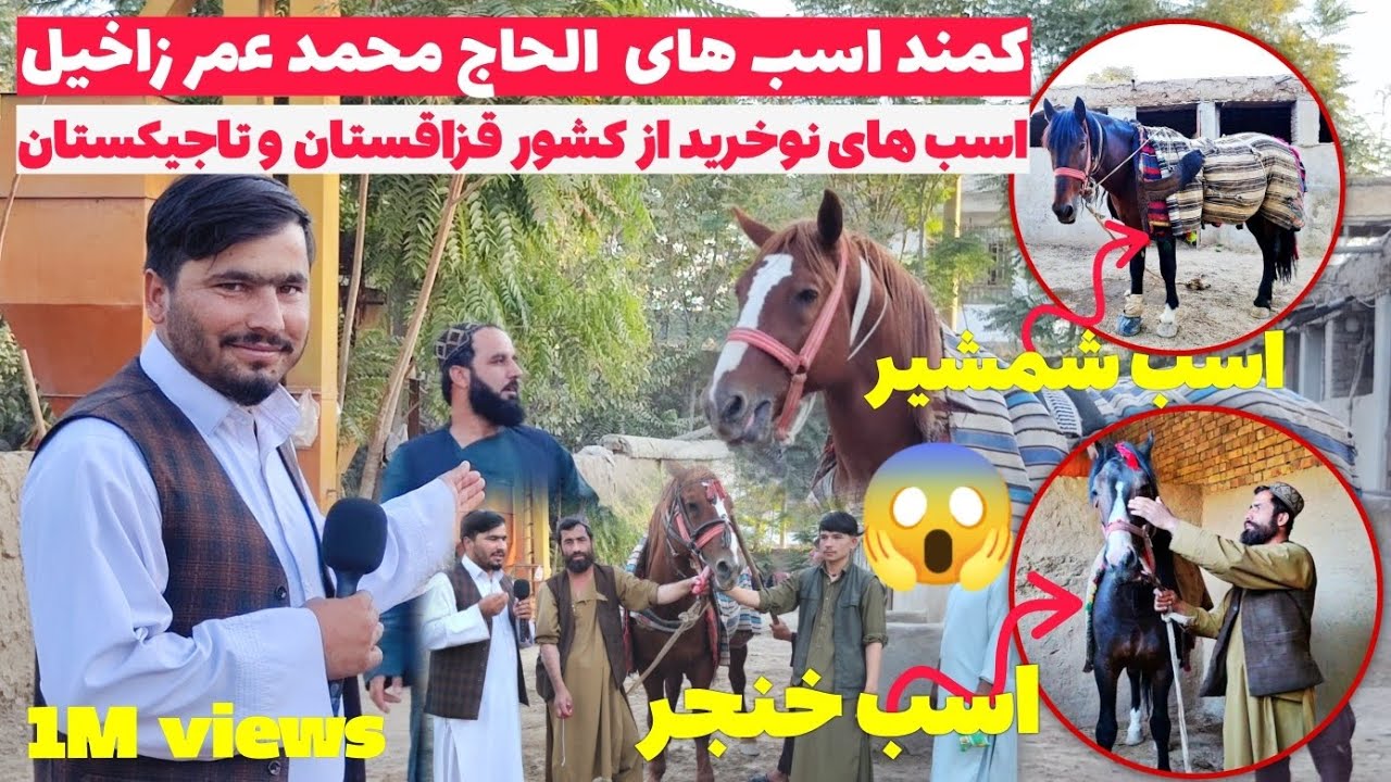 گزارش از اسب خانه (کمند) الحاج محمد عمر زاخیل |اسب های قزاقستانی و تاجیکی برای تقویت بازی بزکشی کندز
