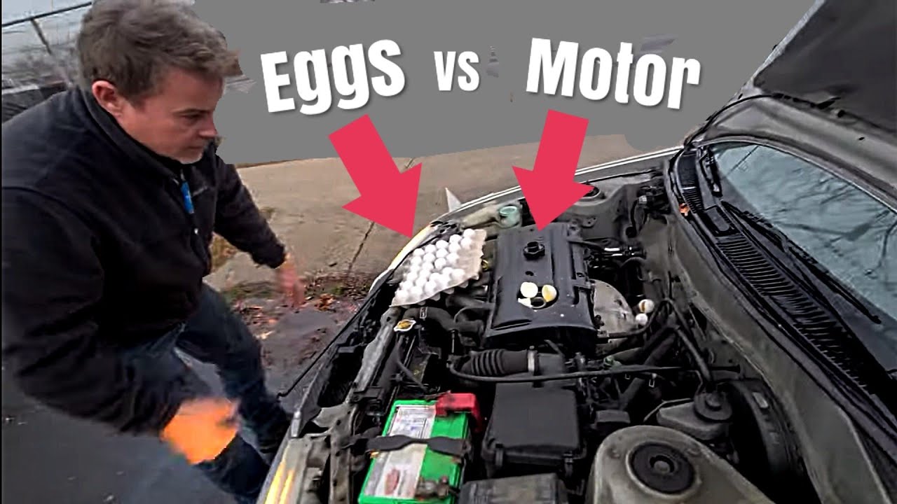 Can Eggs Blow A Toyota Corolla Motor? Scotty Cover your Eyes! NEUTRAL DROP! 🤣😁😛