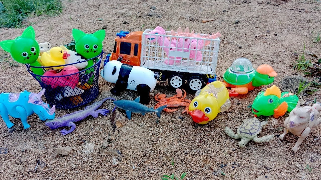 CATCH turtles, ducks, ornamental fish, dogs, crabs, pandas, sharks, rhinos, cats, iguanas, turtles.