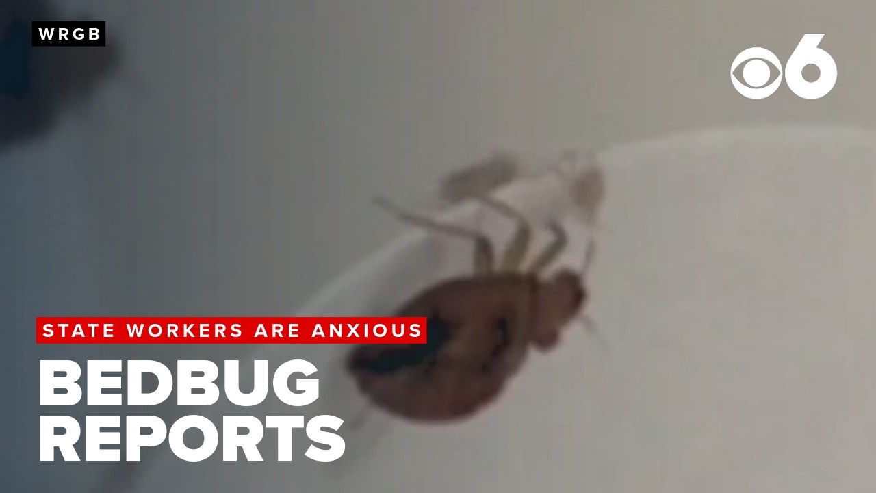 Union says State workers are anxious after bedbug reports, better communication needed