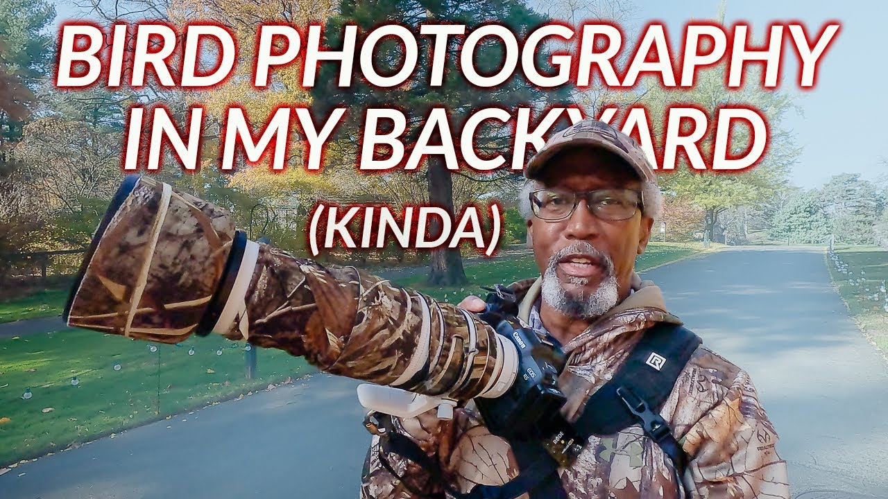 Capture Stunning Bird Photos Practically In Your Yard!