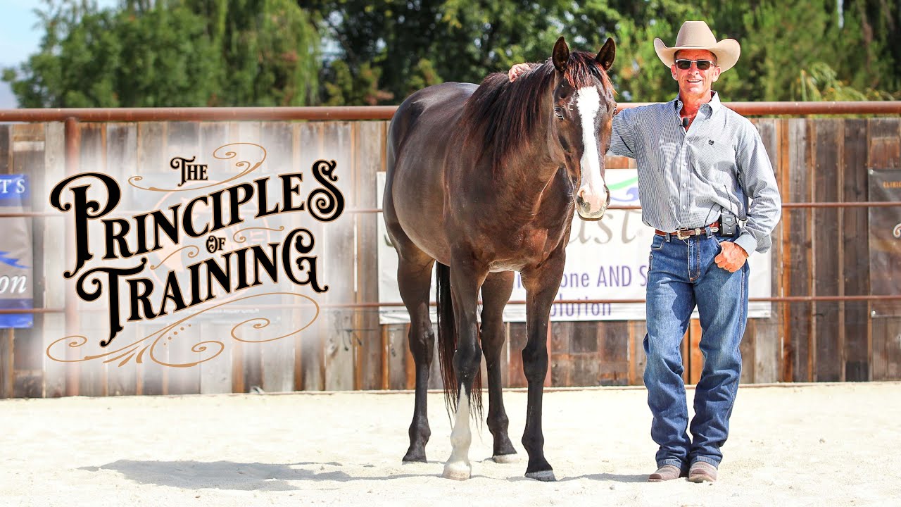 The Principles of Training Season 3 Episode 6: 