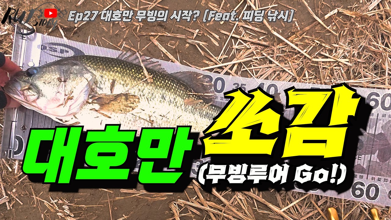 Ep27 대호만 무빙의 시작? (Feat.피딩 낚시)