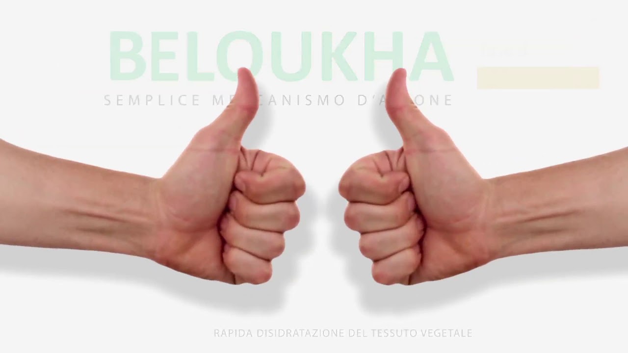 BELOUKHA® la soluzione veloce e naturale per il controllo di infestanti e polloni