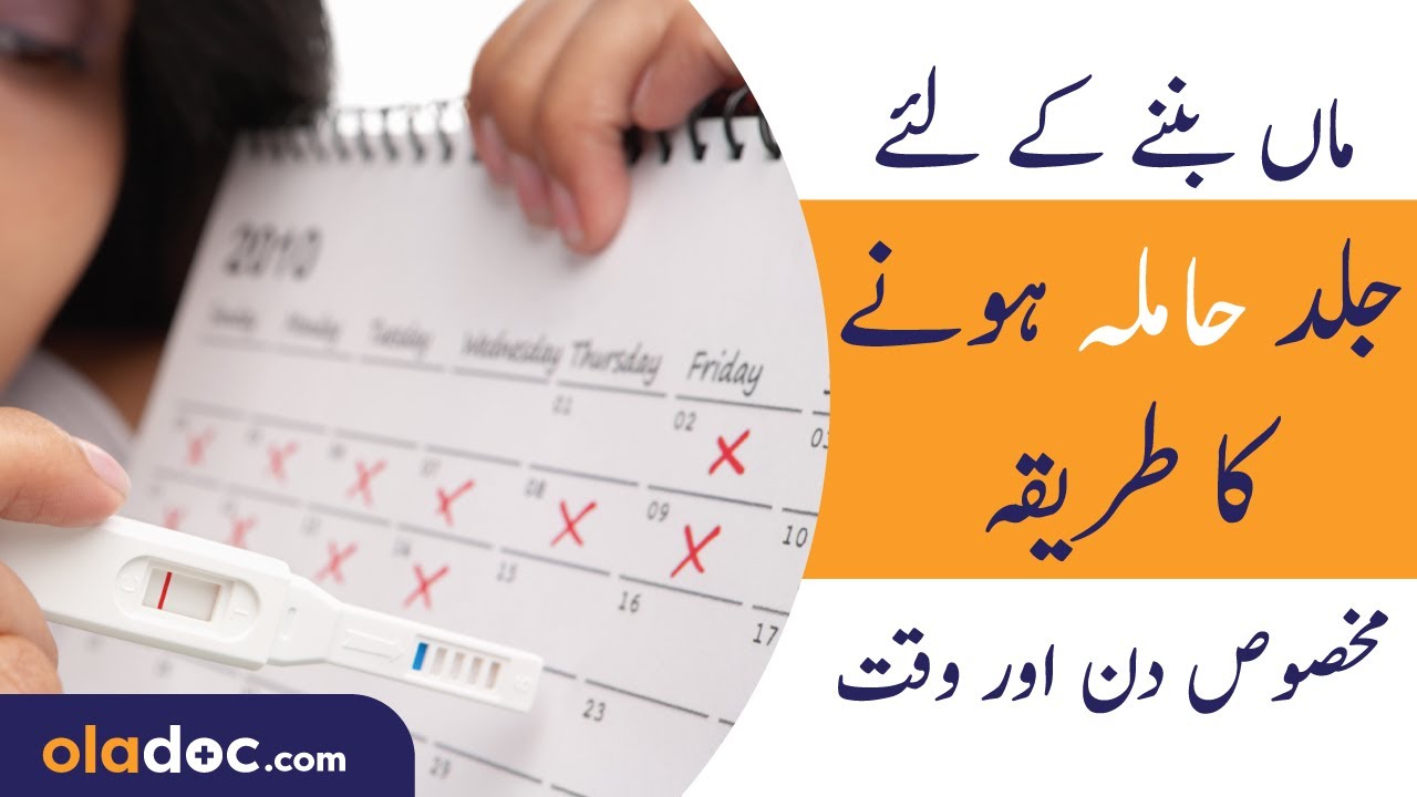 Best Time To Get Pregnant Fast Urdu Hindi- Jald Hamla Hone Ka Tarika- Fertile Days To Conceive Baby