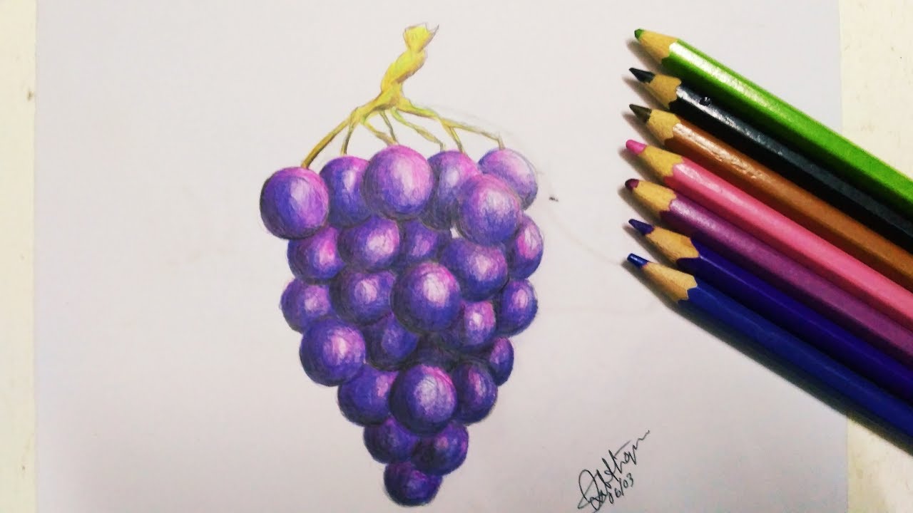 Grapes Easy Drawing Drawing and pencil coloring Tutorial video for students.