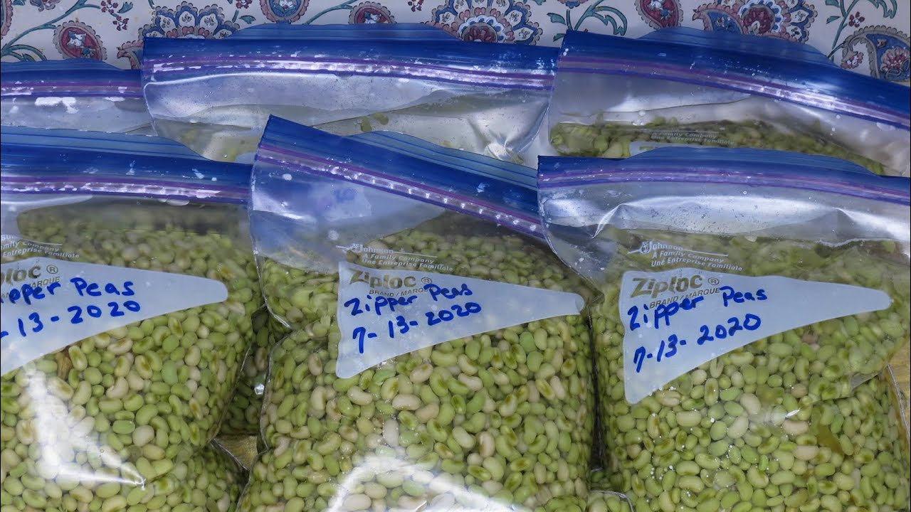 How To: Freeze Fresh Peas (Subscribers Request)