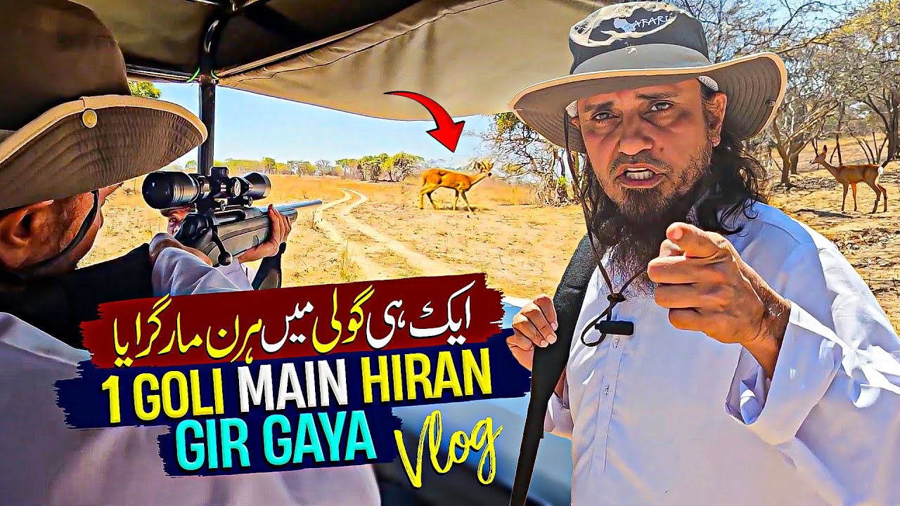 Deer Hunt In Jungle Of Africa - Part 2 - Mufti Tariq Masood Vlogs