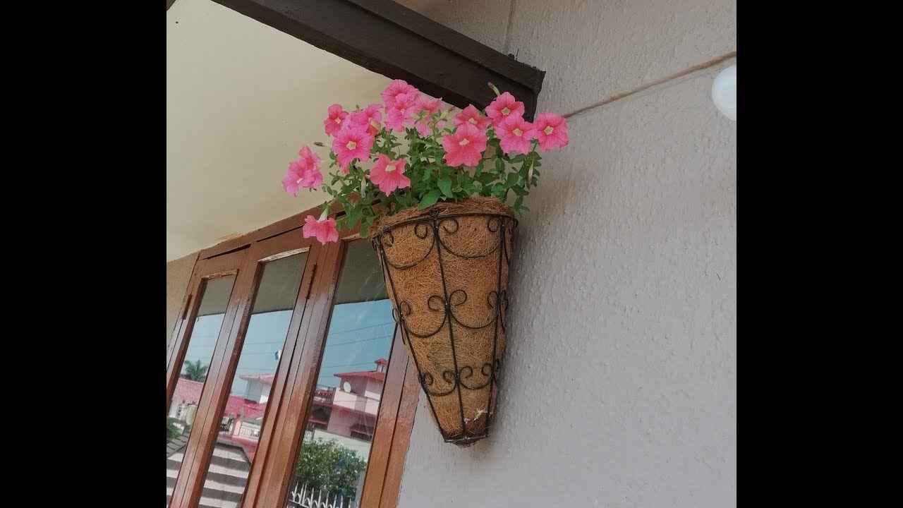 wall hanging flower pot