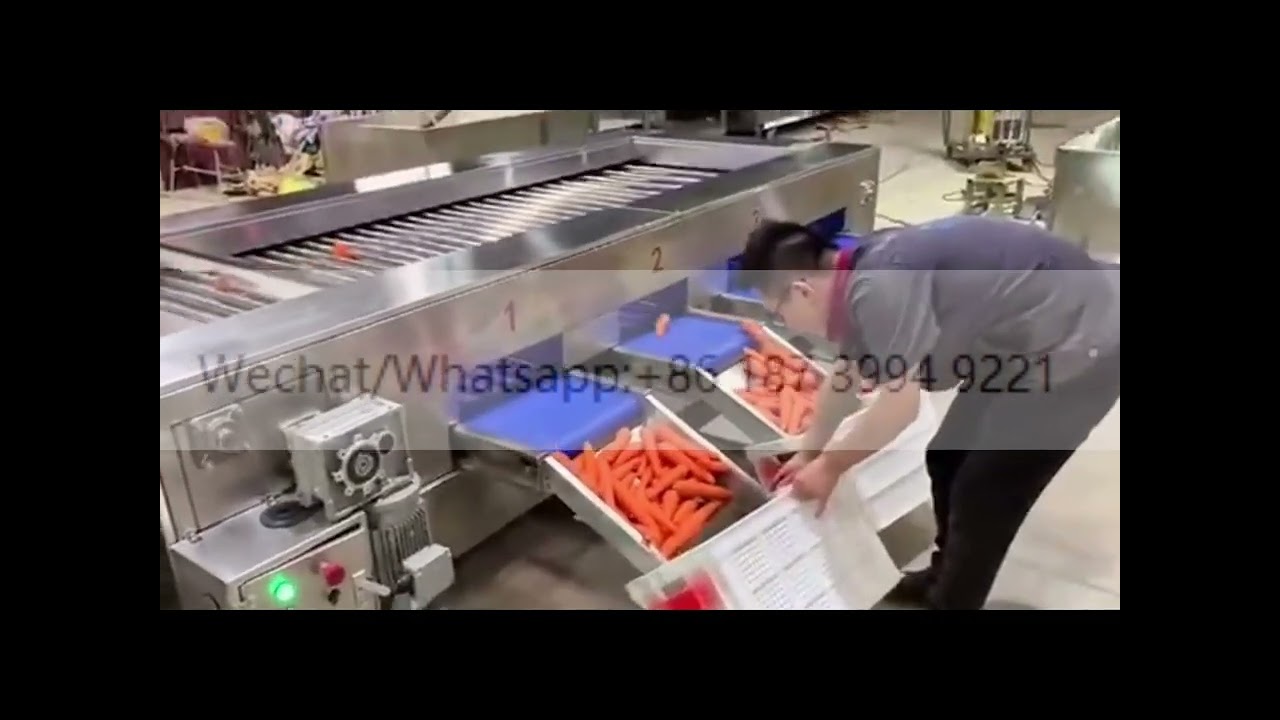 Carrot Dates Cherry Polish Cleaning Polishing Sorting Palm Dates Washing Drying Sorting Machine