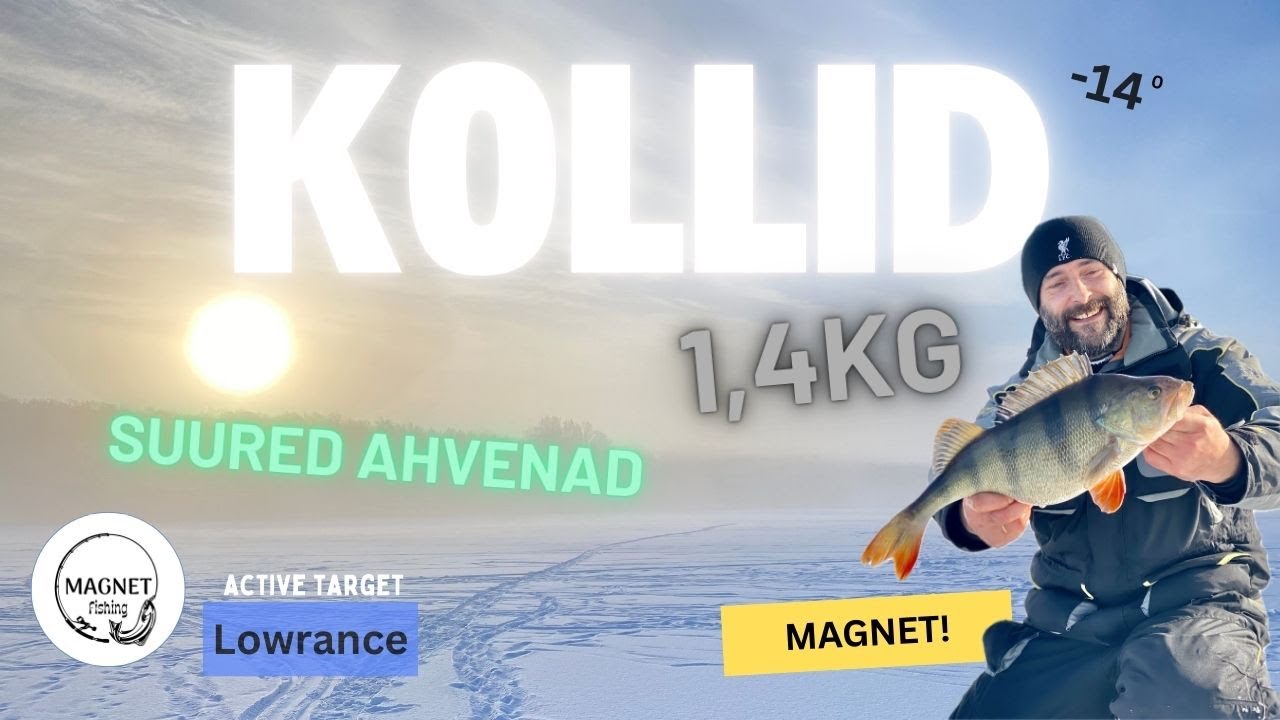 Suurte ahvenate püük