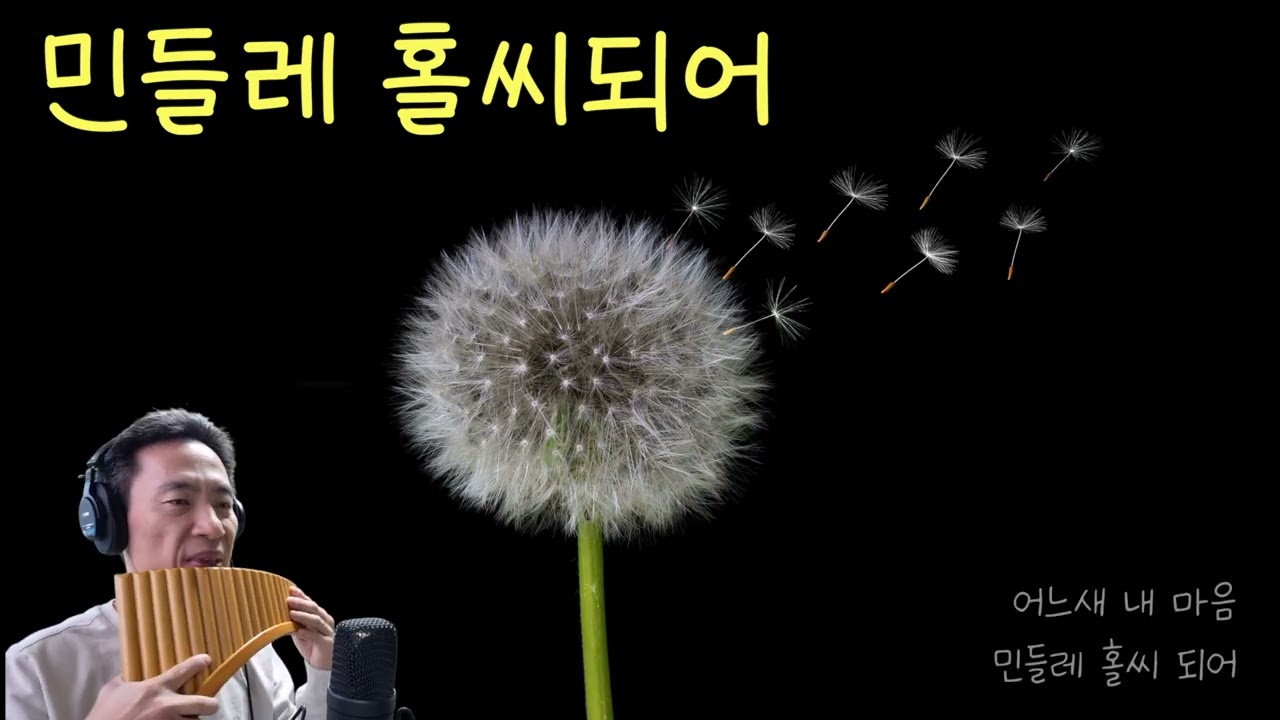 민들레 홀씨 되어(박미경)_팬플룻 연주(Panflute)