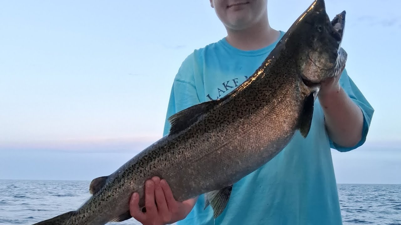 Giant steelie on Dreamweaver spin doctor dragon slayer with a pickled sunshine fly!